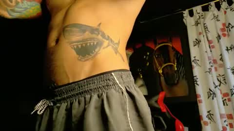 Molotov online show from November 19, 9:15 pm