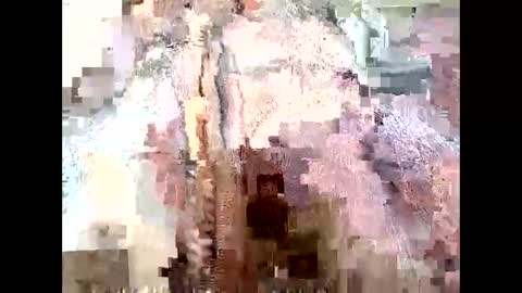 Richard Sheridan online show from September 28, 9:53 pm