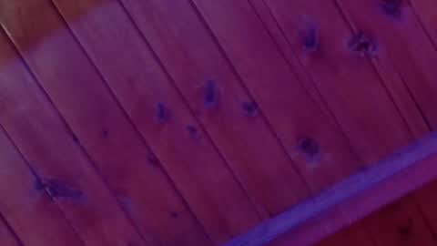 Monica Rosse online show from February 4, 4:29 am