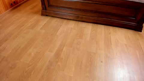 Monika NO c2c ever. PVT free Naked Fingering pussy doggy or standing BJ HJ Feet Fashion. PVT extra Toy control 400tk. online show from January 23, 7:29 pm
