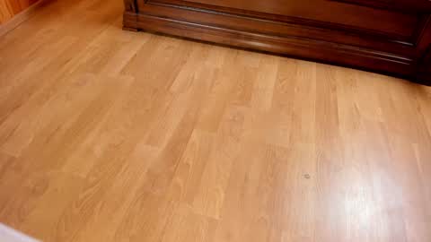 Monika NO c2c ever. PVT free Naked Fingering pussy doggy or standing BJ HJ Feet Fashion. PVT extra Toy control 400tk. online show from January 25, 7:39 pm