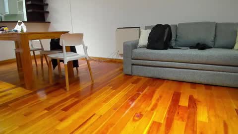 Monikfree online show from December 5, 4:23 pm