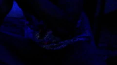 montydxxx2 online show from December 17, 4:35 pm