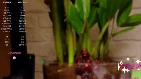 Snapshot of moon_deity chatting on February 14, 4:20 pm Luna online show from February 14, 4:20 pm