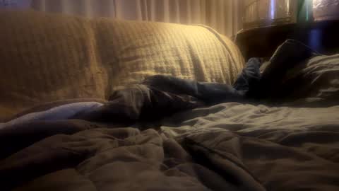 Snapshot of moon_man5 chatting on February 20, 11:31 am Mitchell online show from February 20, 11:31 am