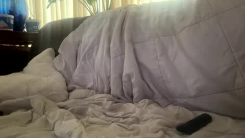 Snapshot of moon_man5 chatting on November 21, 4:38 pm Mitchell online show from November 21, 4:38 pm