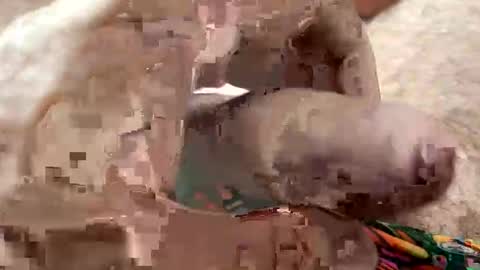 Snapshot of moreletii chatting on January 7, 7:11 am Me online show from January 7, 7:11 am