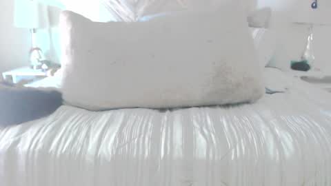 Didier online show from March 2, 5:20 pm