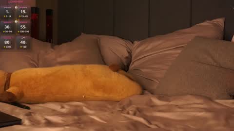 morphe online show from December 20, 11:26 pm