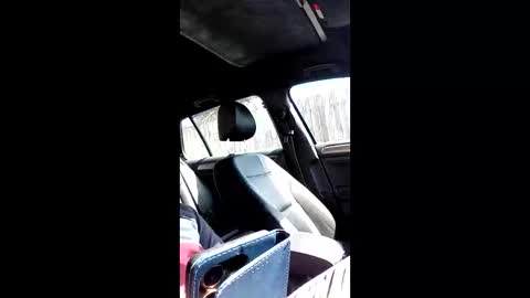 Nomadu online show from March 14, 10:42 am