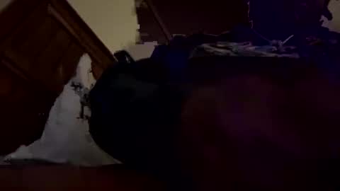 mpickett617 online show from October 31, 9:43 am