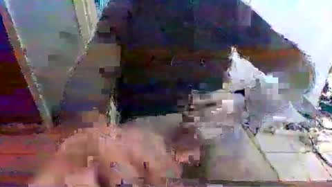 Snapshot of mppempis81 chatting on November 15, 7:27 am mppempis81 online show from November 15, 7:27 am