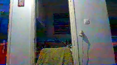 Snapshot of mppempis81 chatting on November 19, 3:45 pm mppempis81 online show from November 19, 3:45 pm