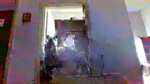 Snapshot of mppempis81 chatting on November 23, 7:08 am mppempis81 online show from November 23, 7:08 am