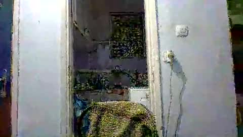 Snapshot of mppempis81 chatting on December 2, 7:31 pm mppempis81 online show from December 2, 7:31 pm