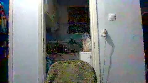 Snapshot of mppempis81 chatting on December 4, 3:32 pm mppempis81 online show from December 4, 3:32 pm