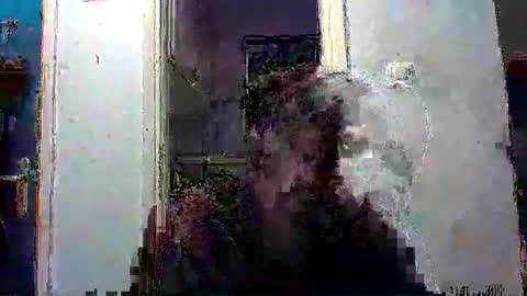 Snapshot of mppempis81 chatting on December 13, 7:53 pm mppempis81 online show from December 13, 7:53 pm