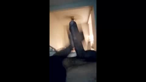 mr_donkey23 online show from February 8, 2:53 pm