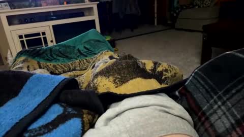 mr_green_strokes online show from March 1, 5:20 am