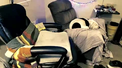 mrbiggintx online show from April 12, 11:48 am