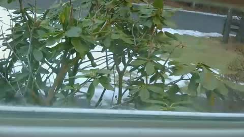 mrbrigggs online show from January 14, 12:11 pm