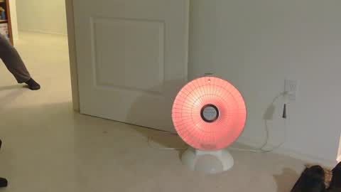 IwantU2WatchME online show from November 17, 12:33 pm