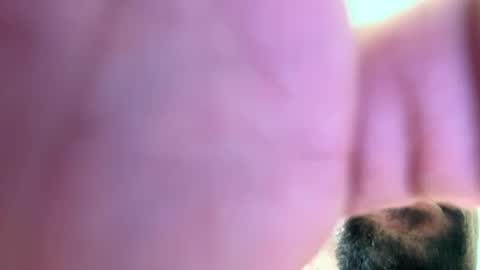 mrfrankfuckforfree online show from December 2, 2:52 pm