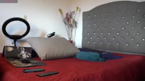 Snapshot of mrlouiss chatting on February 15, 8:01 pm Luis Instagram online show from February 15, 8:01 pm