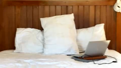Max online show from June 8, 6:47 am