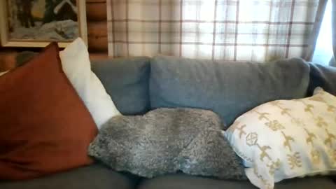 Snapshot of mrpornstar33 chatting on March 27, 4:51 pm Twinsoulsex online show from March 27, 4:51 pm