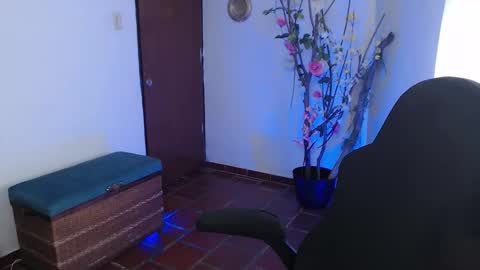 Snapshot of ms_sofiax chatting on March 13, 4:46 pm Sofia online show from March 13, 4:46 pm