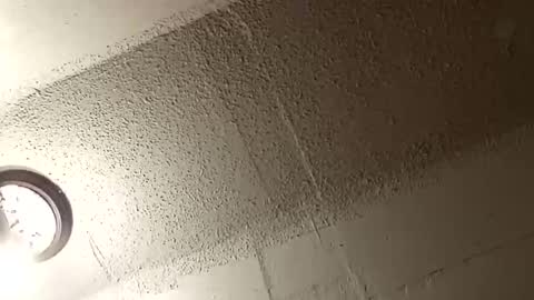 melissa online show from January 10, 2:57 am