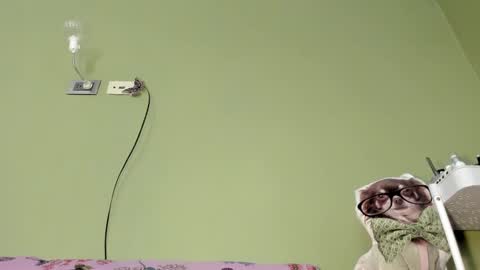 MsPurrfectLove online show from February 2, 6:31 pm