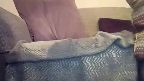 mtx9889 online show from December 17, 12:05 am