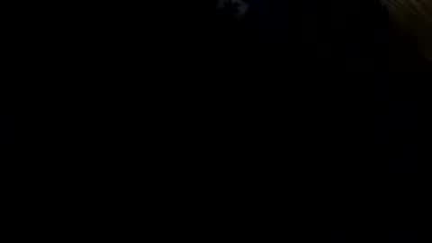 Freakyt online show from May 24, 10:59 pm