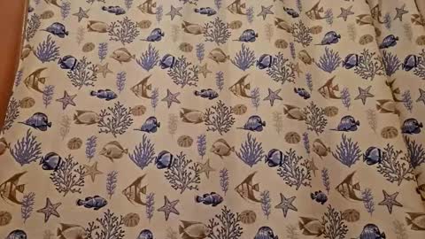 Snapshot of muffdiver718 chatting on March 26, 7:41 pm Muffdiver online show from March 26, 7:41 pm