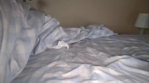 Snapshot of mulato44 chatting on January 6, 8:03 am Laly online show from January 6, 8:03 am