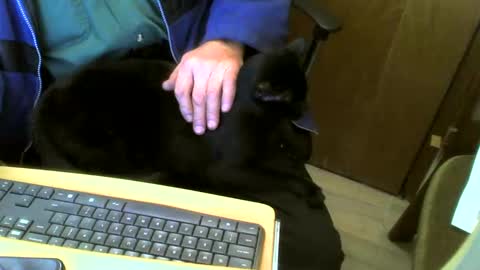 muller520 online show from February 4, 4:50 pm