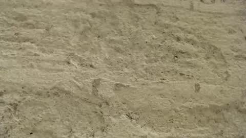 Snapshot of mullty chatting on December 18, 8:36 pm Mullty online show from December 18, 8:36 pm