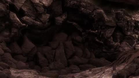 multitest101 online show from March 17, 6:55 pm