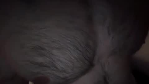 musclehair3 online show from February 14, 9:53 pm