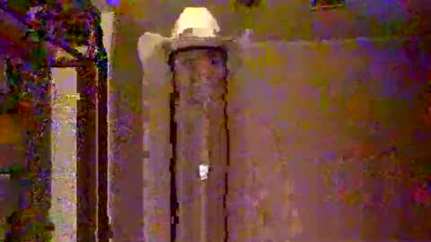 Cowboy  online show from September 10, 2:00 am