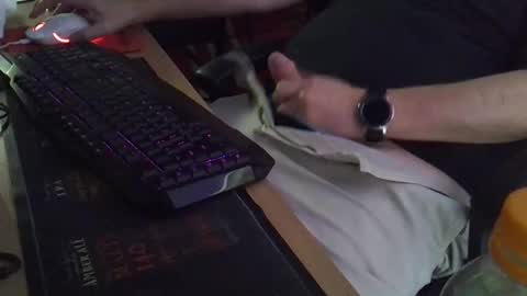 Muso online show from November 21, 4:44 am