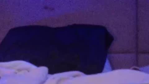 mycloudyalt online show from March 21, 1:54 am