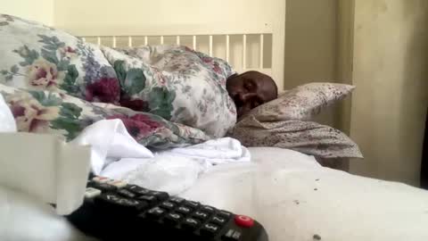 Snapshot of mycockissohard2021 chatting on February 14, 2:54 pm mycockissohard2021 online show from February 14, 2:54 pm