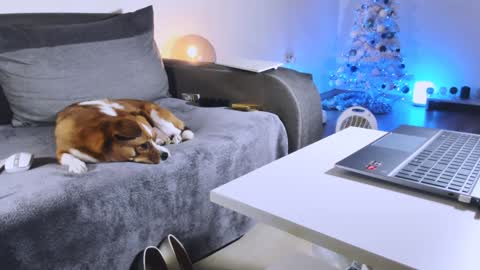 Anda online show from December 27, 10:48 pm