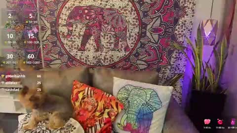 S A R A online show from February 10, 8:21 pm