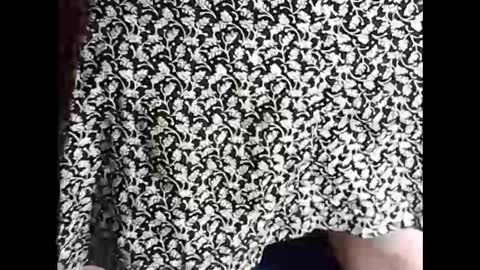 Sissy Mike online show from February 18, 7:09 pm