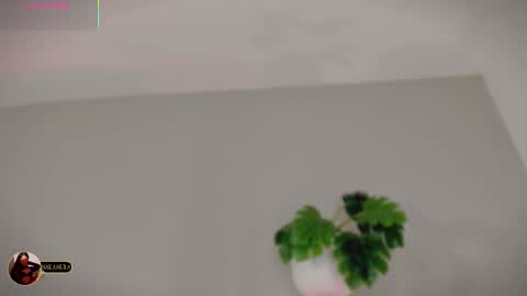 INSTAGRAM  m2221     online show from March 3, 9:59 am