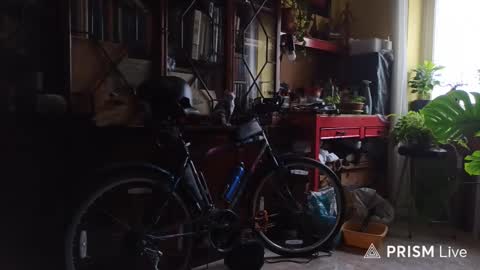 Naked Naturist online show from February 13, 10:44 am